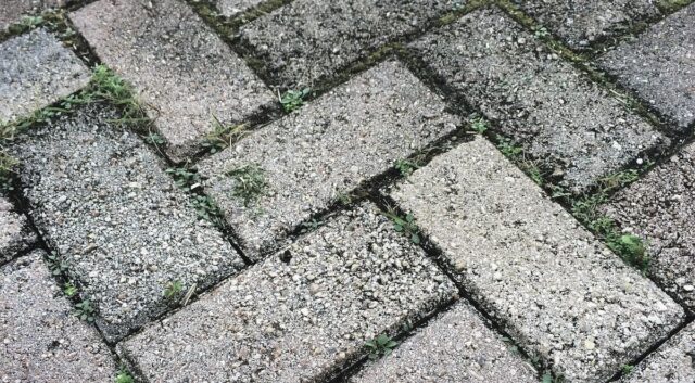 How to Know If It’s Time to Resurface Your Driveway