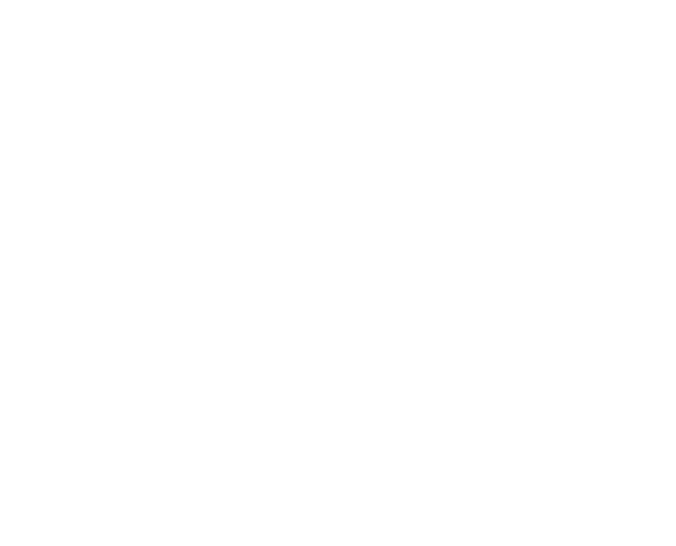 SSIP Supporter Member